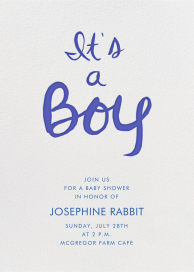 Brilliant Boy - Baby Shower Invitation by Linda and Harriett