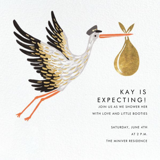 Stork's Bundle - Baby Shower Invitation by Rifle Paper Co.