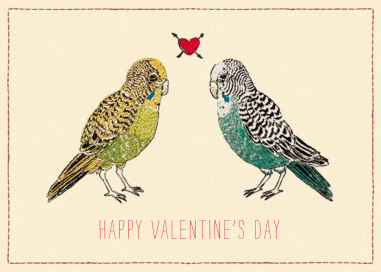Parakeet Love - Valentine's Day Card by Coral & Tusk
