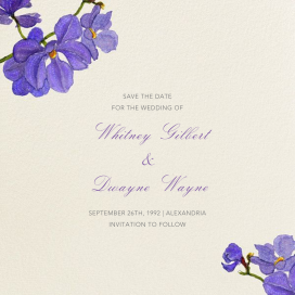 Moth Orchid (Save the Date) by Felix Doolittle