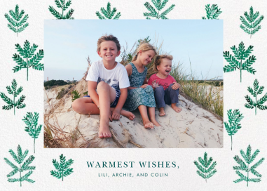 Pine Border - Christmas Card by Linda and Harriett