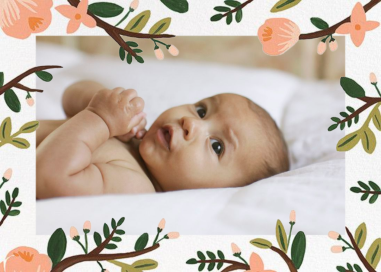 Floral Glade (Photo) by Rifle Paper Co.