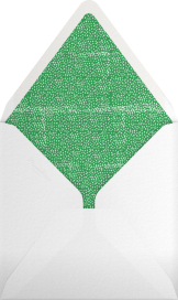 Grab the Keys - Mr. Boddington's Studio Envelope