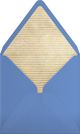 Peppermint Stripe - kate spade new york Envelope