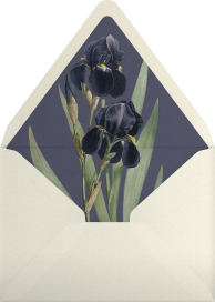 Midnight Orchids - Open Sea Design Co. Envelope