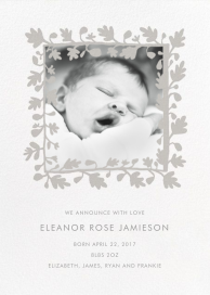 Ficus Photo (Announcement) - Birth Announcement by Linda and Harriett