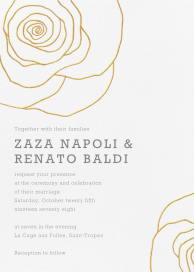 Cabbage Rose by Crane & Co.