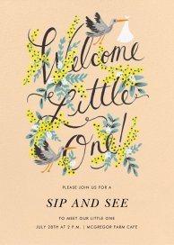 Welcome Little One - Sip and See Invitation by Rifle Paper Co.