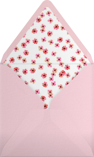 Blush - Paperless Post Envelope