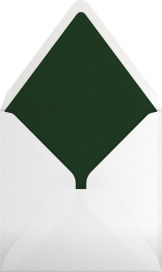 Crocodile Birthday - Paperless Post Envelope