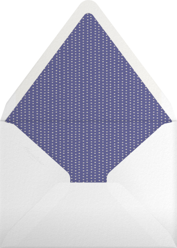 Biplane - Paperless Post Envelope