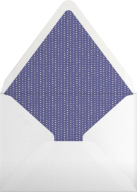 Biplane - Paperless Post Envelope