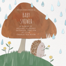 Gentle Shower - Baby Shower Invitation by Paperless Post