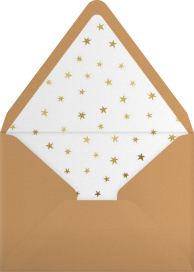 Holiday Starbursts - Paperless Post Envelope