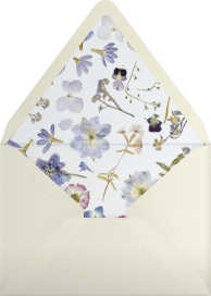 Snapshot - Double Sided - Paperless Post Envelope