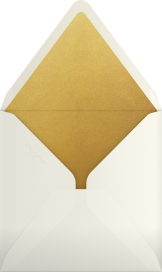 Turkey for You - Paperless Post Envelope