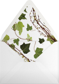 Berkshire - Paperless Post Envelope