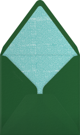 Eli - Mr. Boddington's Studio Envelope