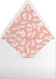 Pinks and Blues - Rifle Paper Co. Envelope