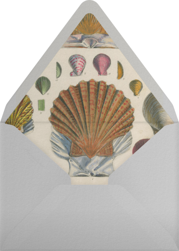 Anatomy of a Shell - John Derian Envelope