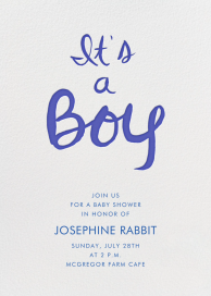 Brilliant Boy - Baby Shower Invitation by Linda and Harriett