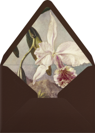 Orchid Stems - Emily Baird Envelope