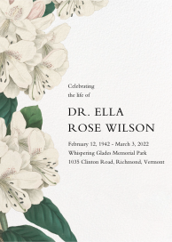 Campanulata - Memorial Card by John Derian