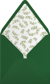 Mr. Kringle's Cap - Paperless Post Envelope