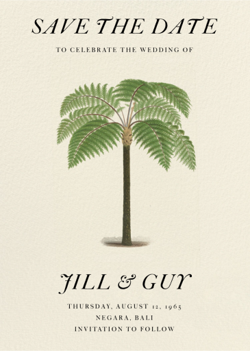 Palm Fronds by John Derian