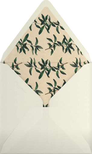 Oh Lovely Day - Mr. Boddington's Studio Envelope