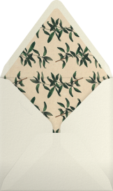 Oh Lovely Day - Mr. Boddington's Studio Envelope