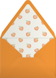 Rosy Cheek Peach - Paperless Post Envelope