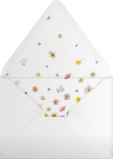 Vincennes - Paperless Post Envelope