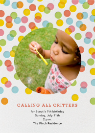 Rainbow Bubbles (Photo) by Petit Collage