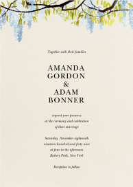 Wisteria Canopy by Felix Doolittle