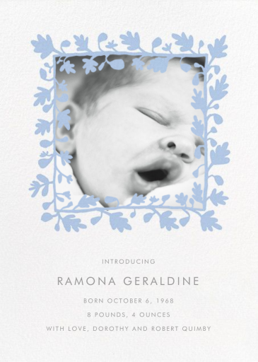 Ficus Photo (Announcement) by Linda and Harriett