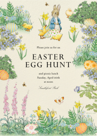 Hidden Eggs by Peter Rabbit