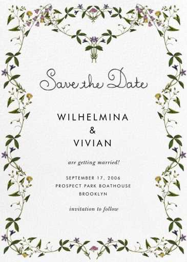 Dancing Violets by Stephanie Fishwick