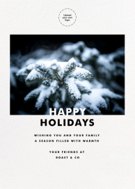 Tall Horizontal (Photo) - Business Holiday Card by Paperless Post