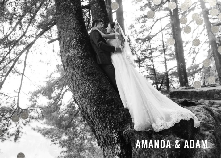 Confetti Photo by kate spade new york