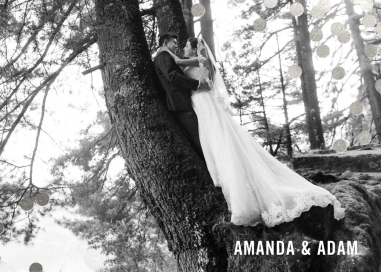 Confetti Photo by kate spade new york