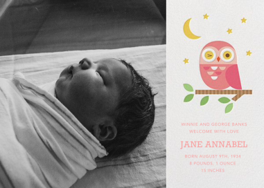 Winking Owl by Petit Collage