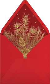 Holiday Drape - Paperless Post Envelope