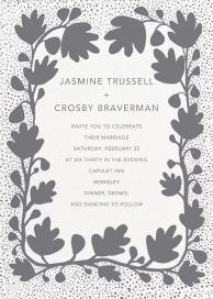 Ficus by Linda and Harriett