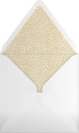 Flip - Square - Kelly Wearstler Envelope