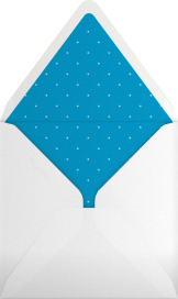 Photo Grid Border - Paperless Post Envelope