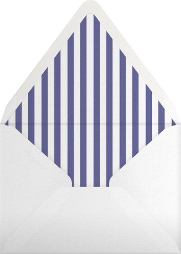 Biplane - Paperless Post Envelope