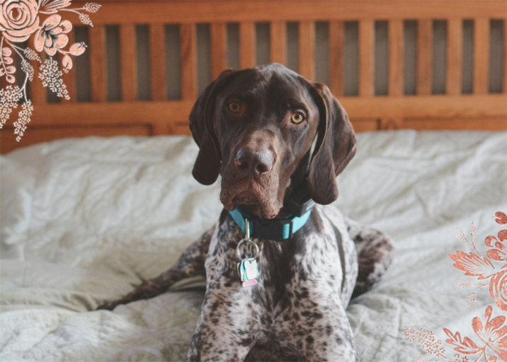 Heather and Lace (Photo Stationery) - Stationery by Rifle Paper Co.