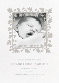 Ficus Photo (Announcement) - Announcement by Linda and Harriett