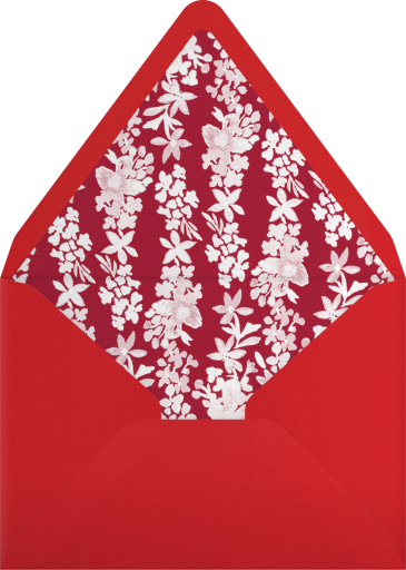 Springline - Paperless Post Envelope